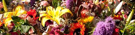Farmers Market
