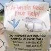 Help for animals