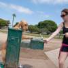 All that play makes a dog thirsty!