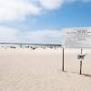 Dog Beach regulations