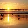 The Ocean Beach pier