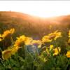 Springtime