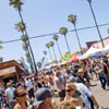 Festival Attractions